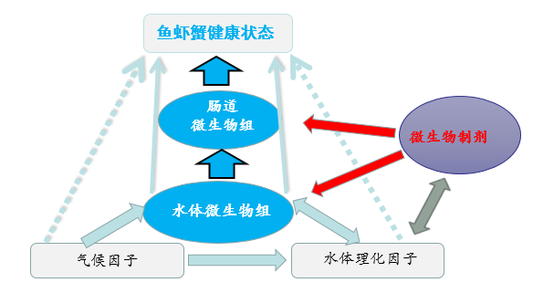 什么產品這么牛 (5).png