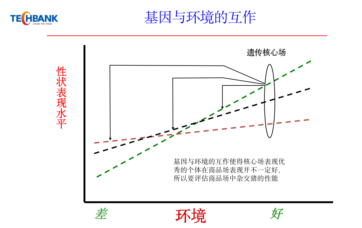 育種 (2).png